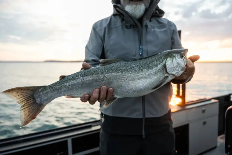 Angler holding a salmon aboard the Pro Fish N’ Cruise
